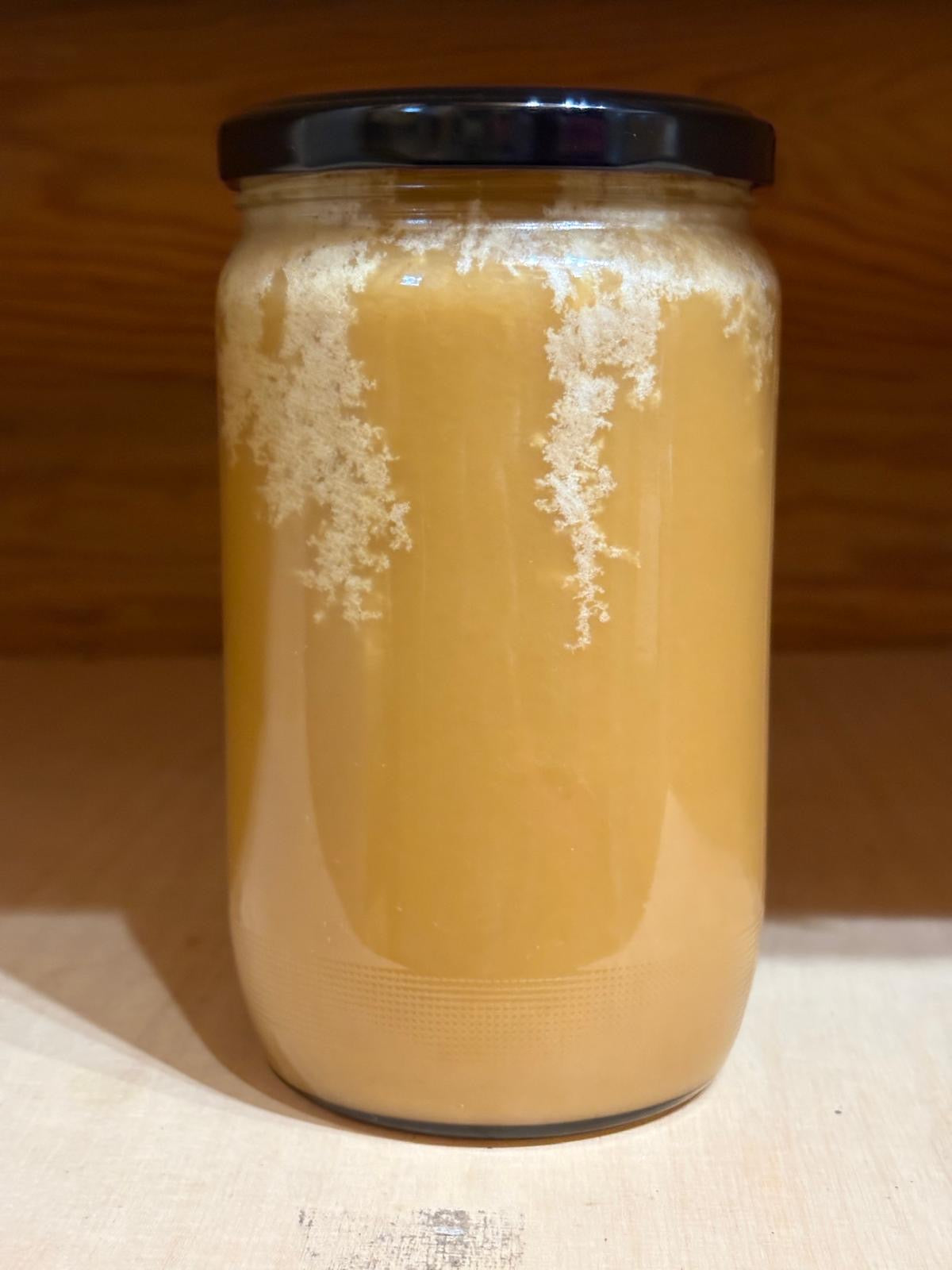 Miód dolnośląski gryczany 1 kg