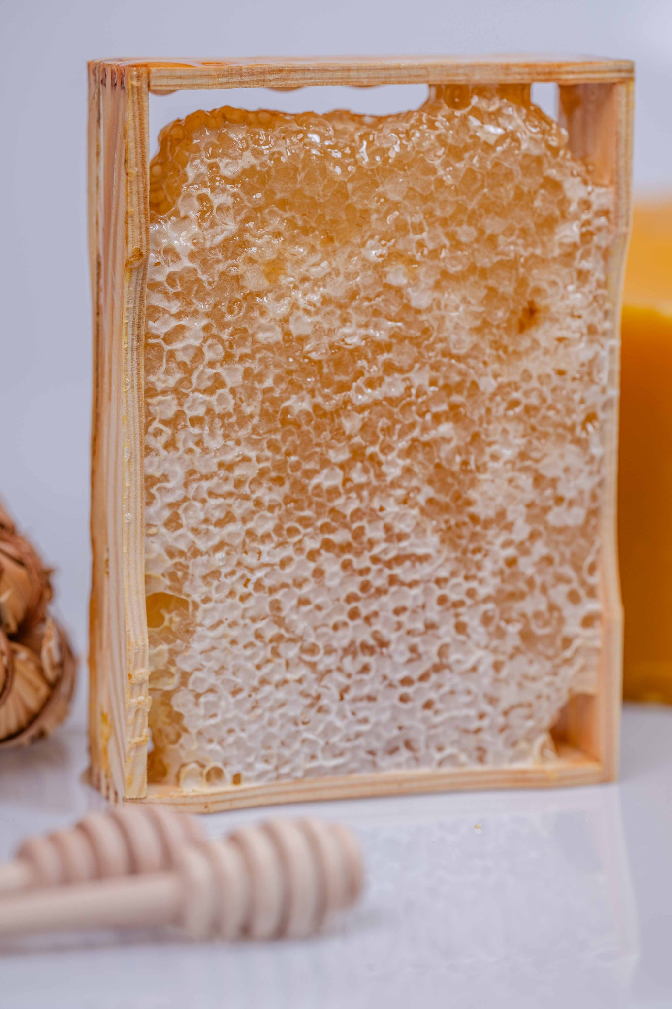 Mały plaster miodu 100 zł/1 kg