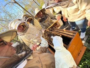 Grupa ludzi uczestnicząca w wycieczce po zakładzie produkującym miód, obserwujących i uczestniczących w procesie zbierania miodu z uli.