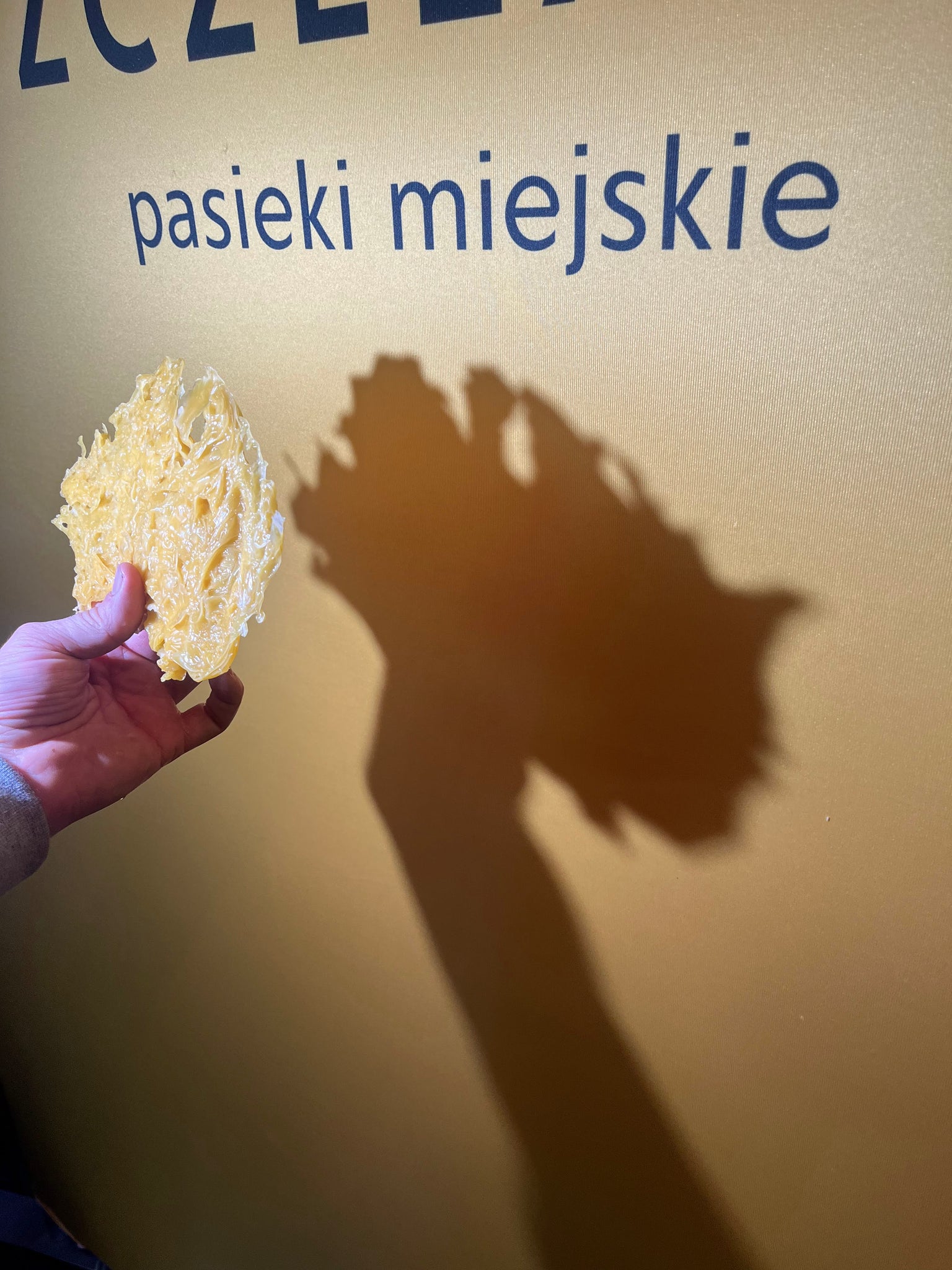 29 listopada Andrzejkowa noc wosku: wróżby i świece