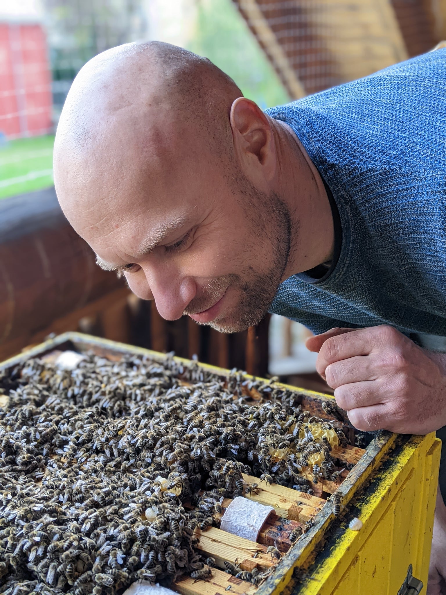 Mężczyzna stojący obok ulepszczelowego, w którym pracują i produkują miód pszczoły.