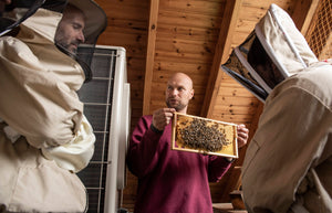 Practical Course on Bee Queen Rearing