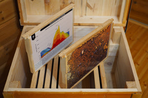 Educational beehive frame