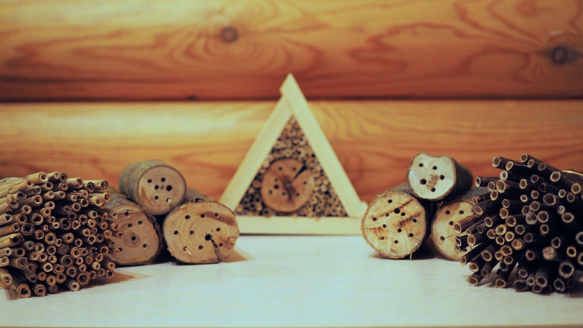  Houses for Pollinators