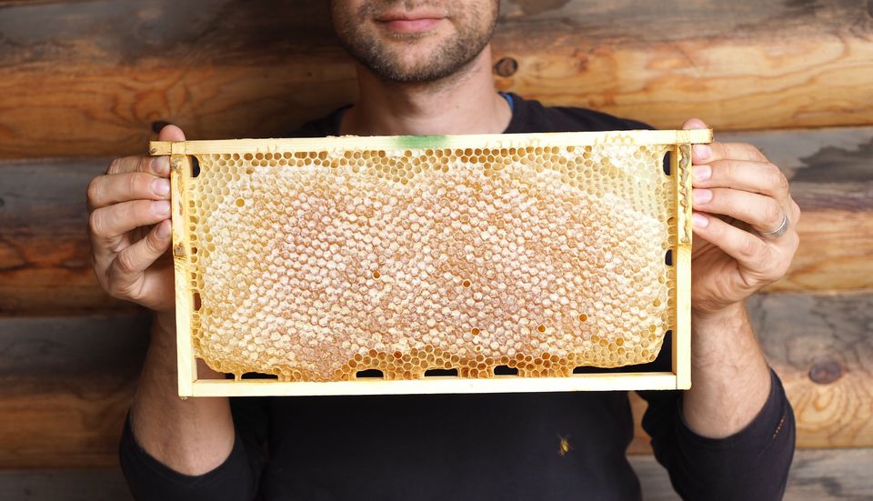 Honeycomb